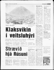 Síða 17