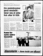Síða 6