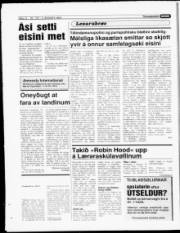 Síða 13