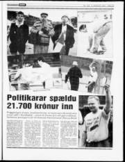Síða 12