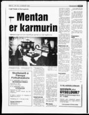 Síða 13