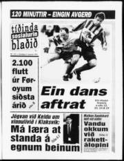 Síða 1