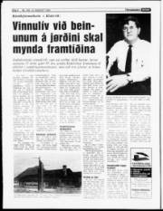 Síða 6