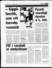 Síða 11