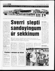 Síða 12
