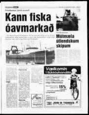 Síða 3