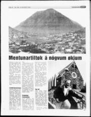Síða 15