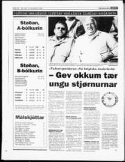 Síða 17