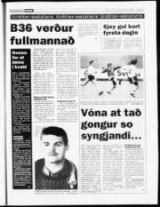 Síða 20