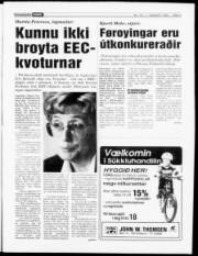 Síða 3
