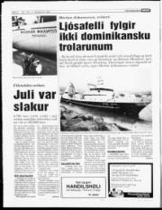 Síða 4