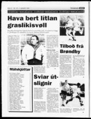 Síða 12