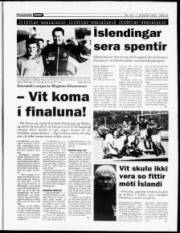 Síða 13