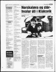 Síða 22