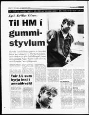 Síða 13