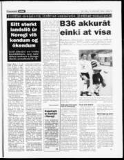 Síða 14
