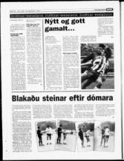 Síða 15
