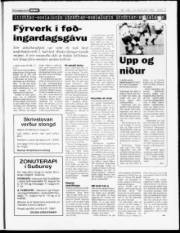 Síða 16