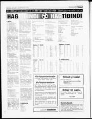Síða 17