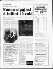 Síða 3