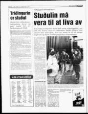 Síða 4