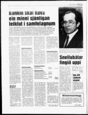 Síða 6