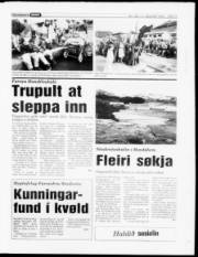 Síða 11