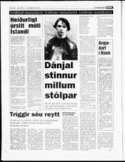 Síða 14