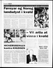 Síða 17
