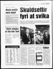 Síða 6