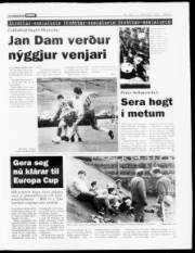 Síða 11