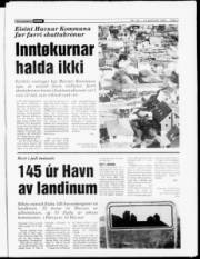 Síða 3