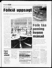 Síða 5