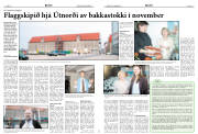 Síða 10