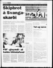 Síða 13
