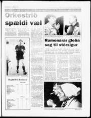Síða 15