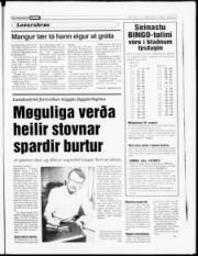 Síða 17