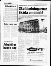 Síða 3