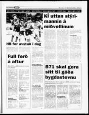 Síða 11