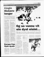 Síða 12