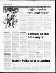Síða 13