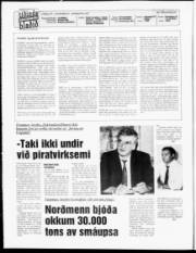 Síða 2