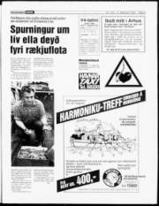Síða 3