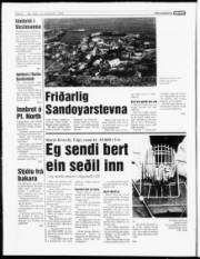 Síða 4