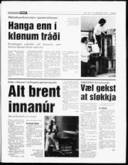 Síða 5