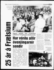 Síða 6