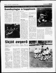 Síða 10