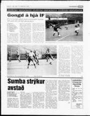 Síða 12