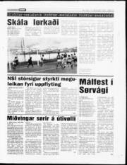Síða 13