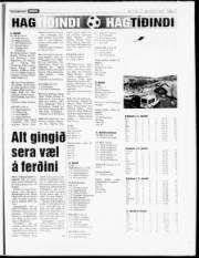 Síða 17